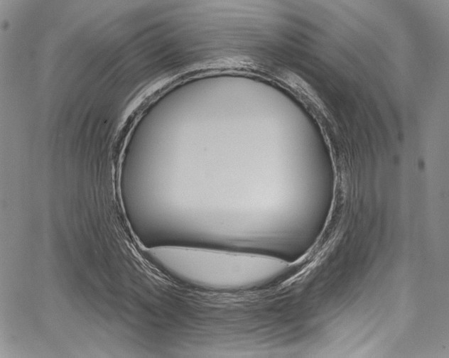 X0000067900781200604131037