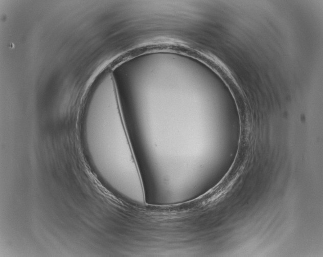 X0000067900783200604131037