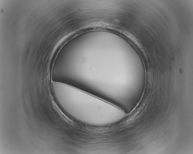 X0000067900791200604131037