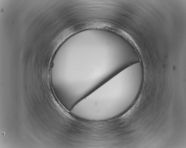X0000067900802200604131037