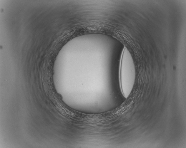 X0000067900817200604131036