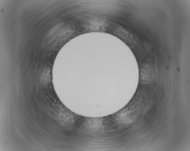 X0000067900820200604131036
