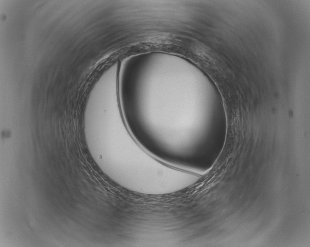 X0000067900822200604131036