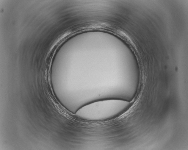 X0000067900827200604131036