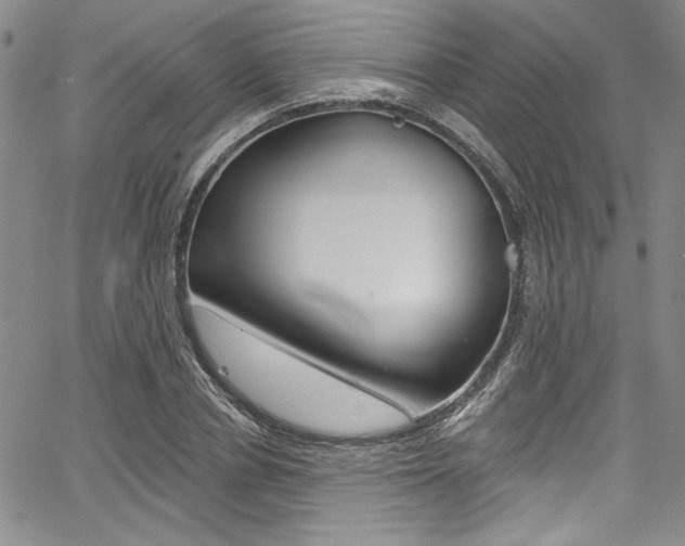 X0000067900834200604131036