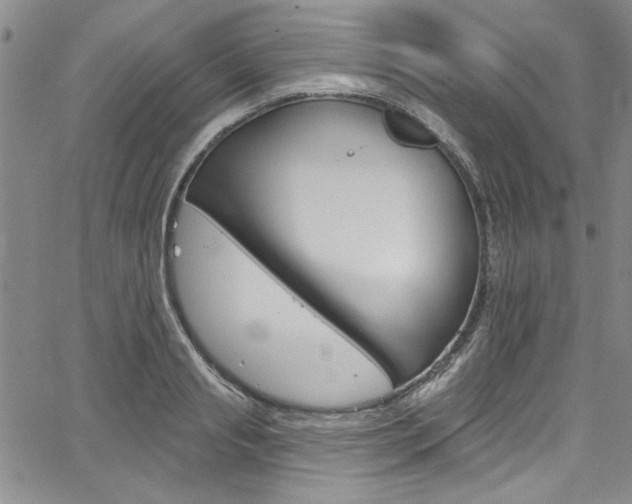 X0000067900845200604131036