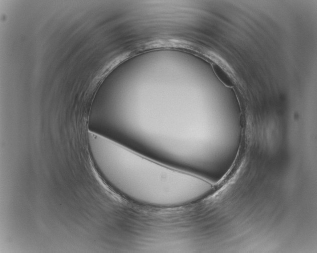 X0000067900849200604131036
