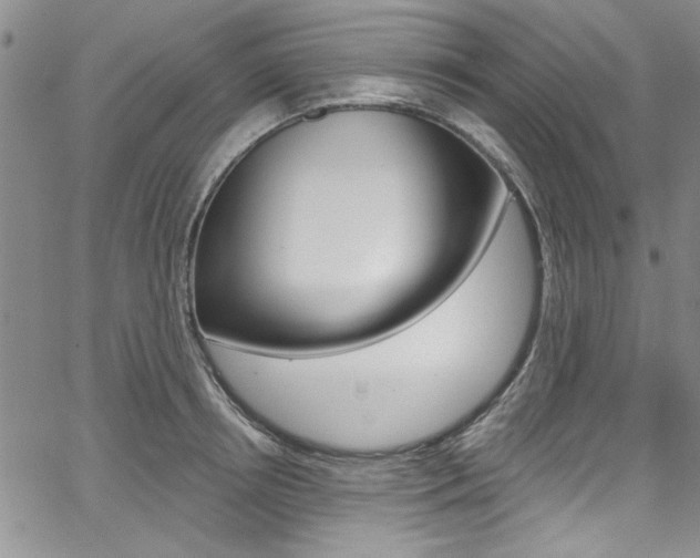 X0000067900850200604131036