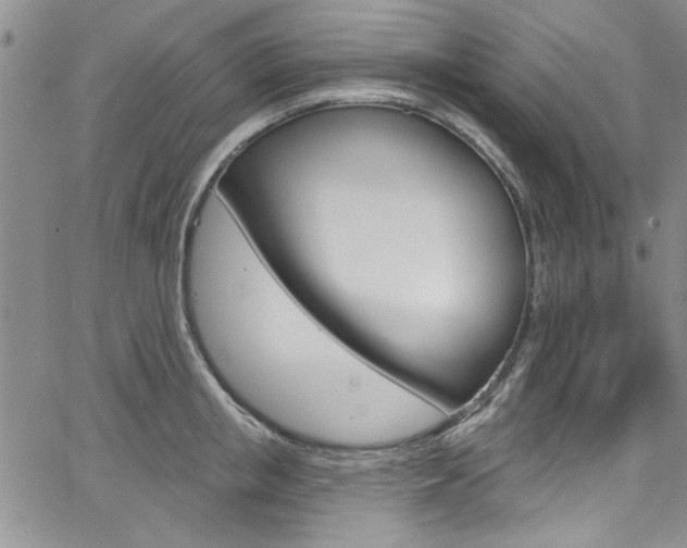 X0000067900853200604131036