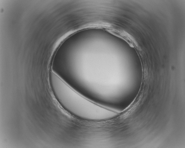 X0000067900854200604131036