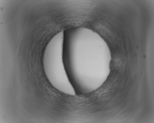 X0000067900865200604131036
