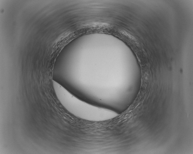 X0000067900869200604131036
