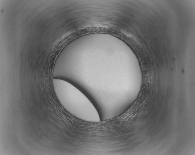 X0000067900870200604131036