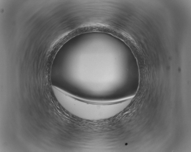 X0000067900872200604131036