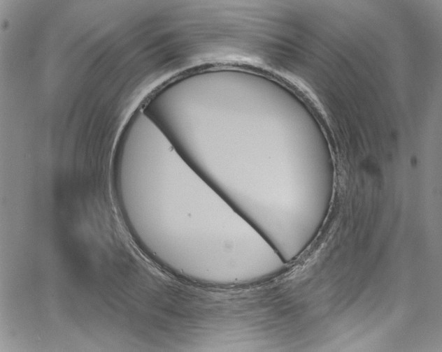 X0000067900887200604131035