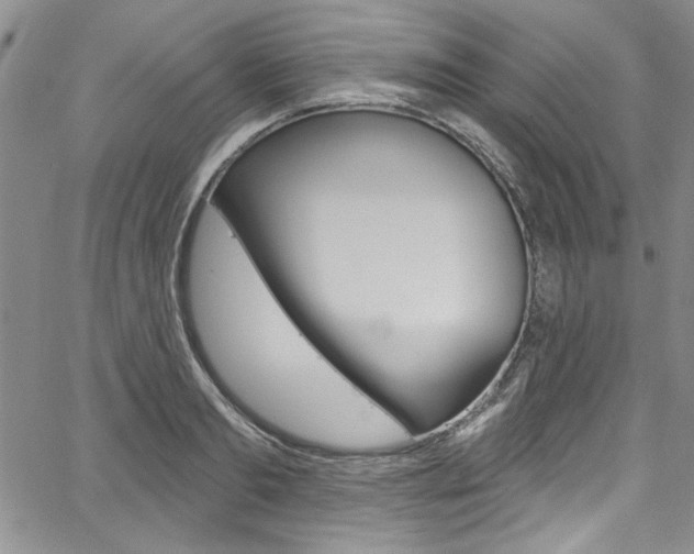 X0000067900893200604131035