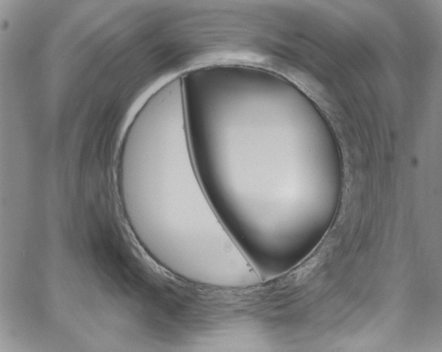 X0000067900912200604131035