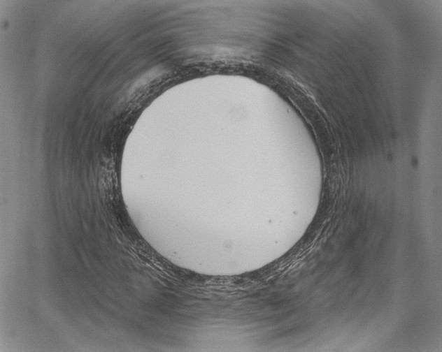 X0000067900918200604131034