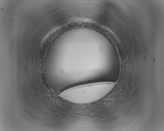 X0000067900919200604131034