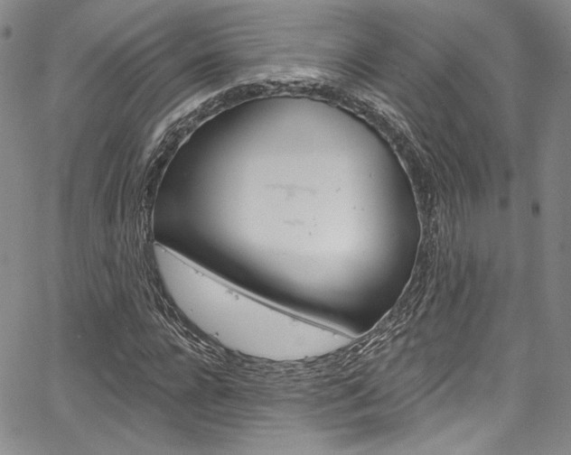 X0000067900920200604131034