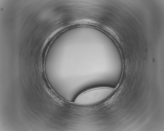 X0000067900931200604131035