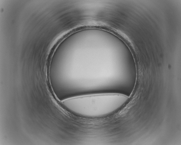 X0000067900935200604131035