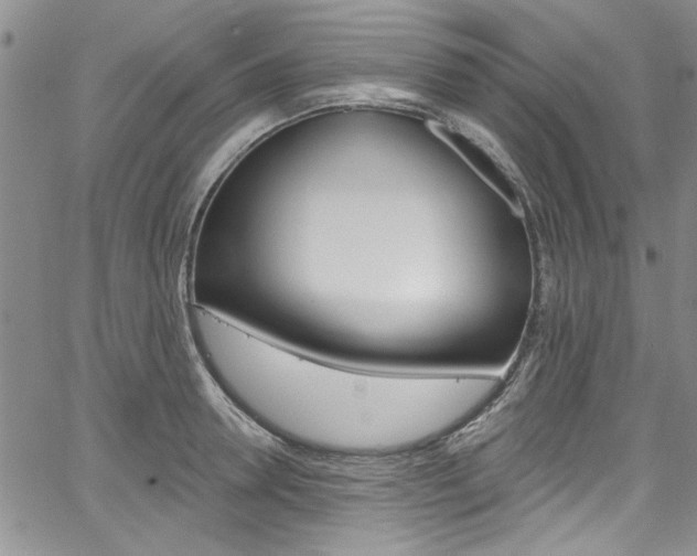 X0000067900946200604131035