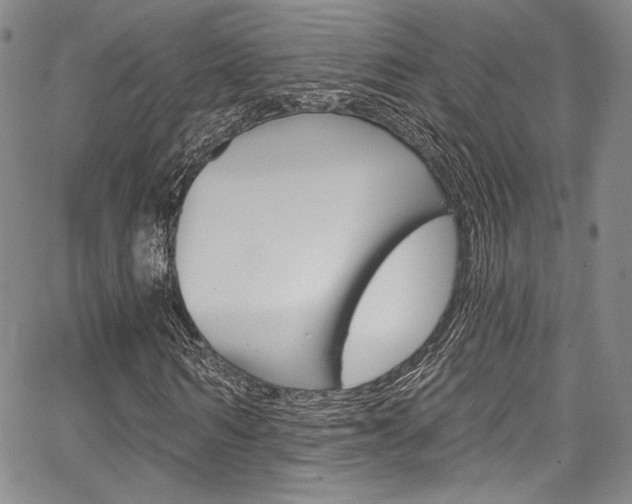 X0000067900962200604131034