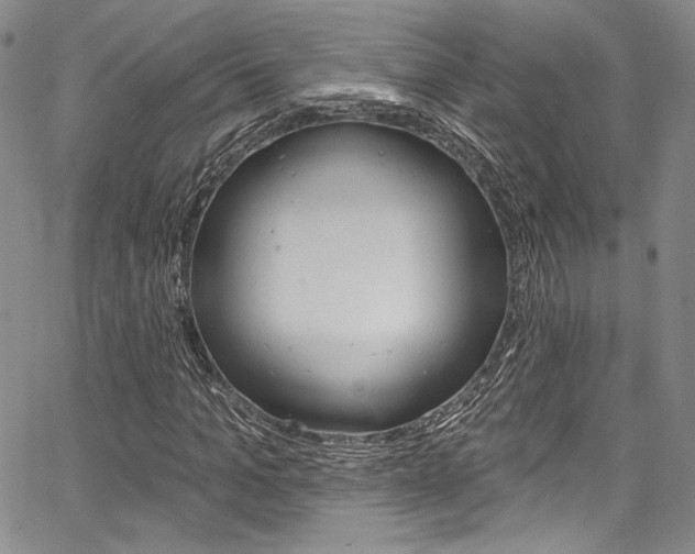 X0000067900965200604131034