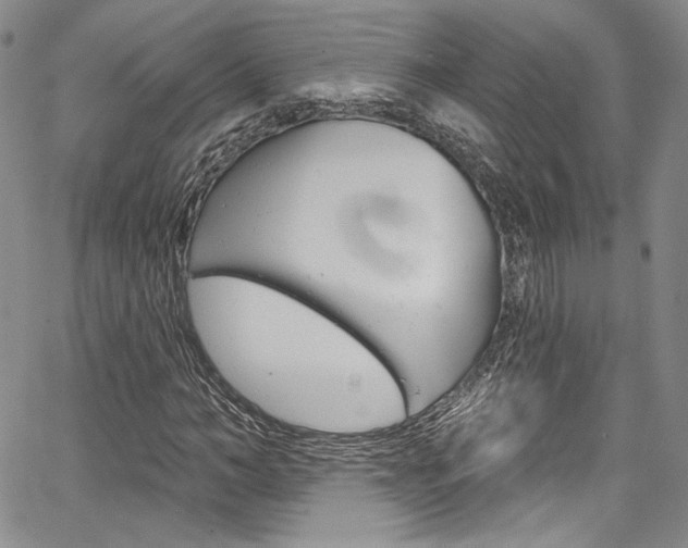 X0000067900966200604131034