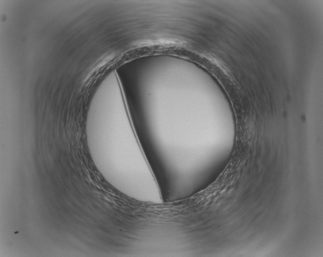 X0000067900967200604131034