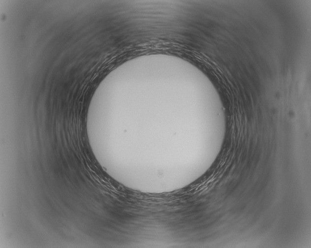 X0000067901010200604131033