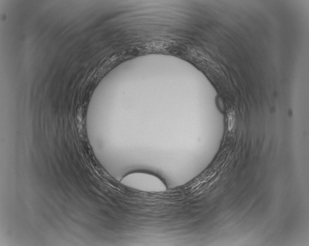X0000067901011200604131033