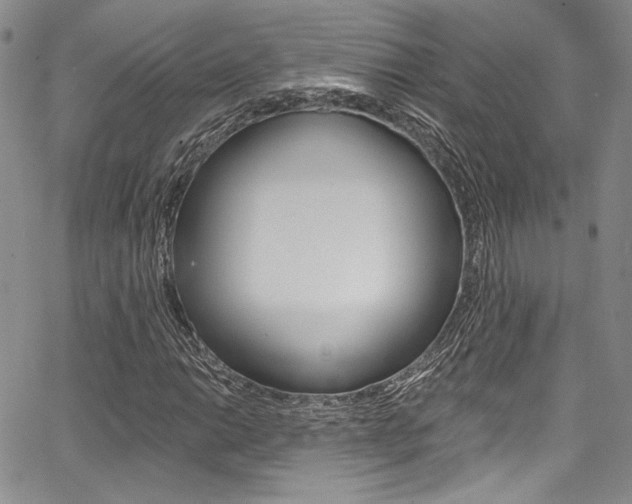 X0000067901014200604131033