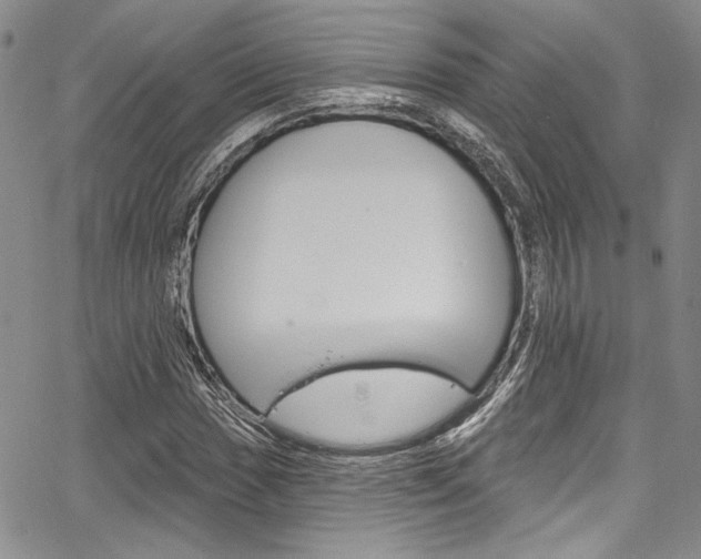 X0000067901017200604131033