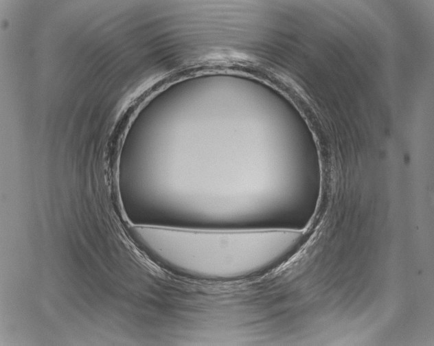 X0000067901018200604131033