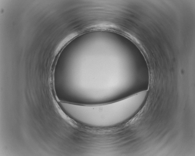 X0000067901042200604131033