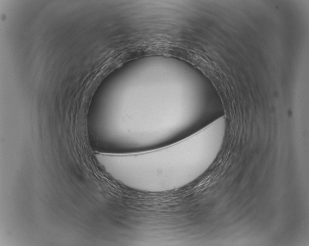 X0000067901057200604131033
