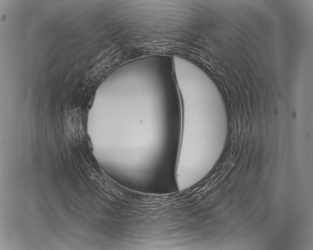 X0000067901058200604131033