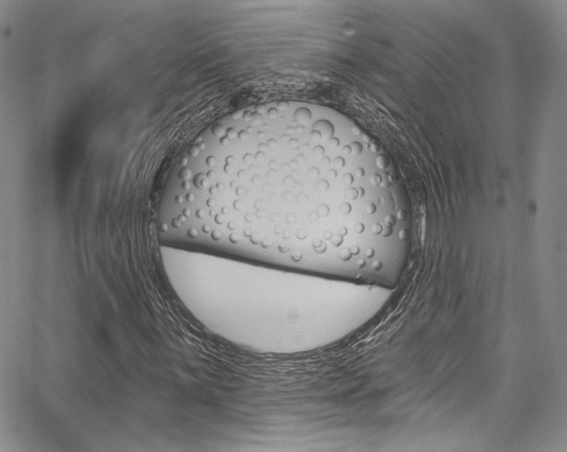 X0000067901059200604131033