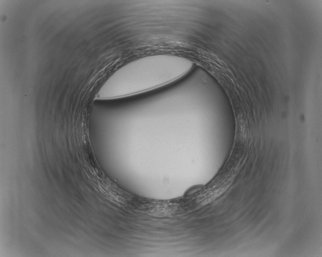 X0000067901060200604131033