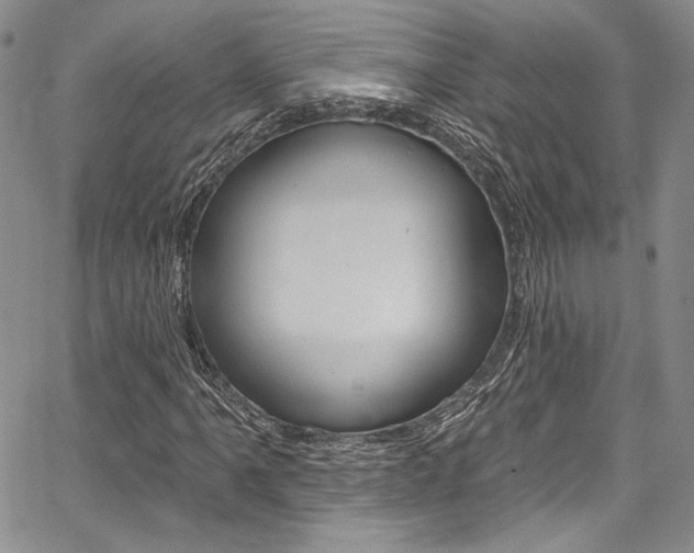 X0000067901061200604131033