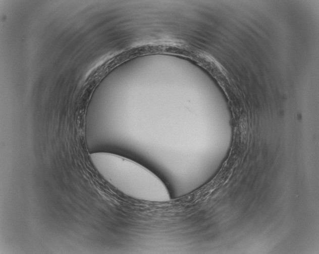 X0000067901064200604131033