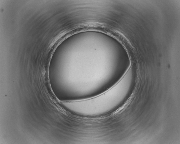 X0000067901065200604131033