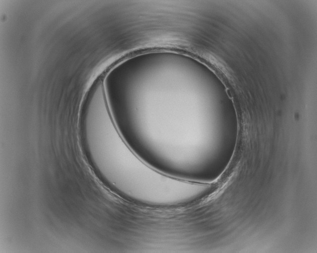 X0000067901077200604131032
