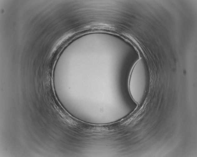 X0000067901115200604131031