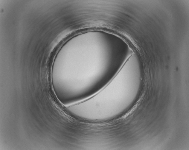 X0000067901118200604131031