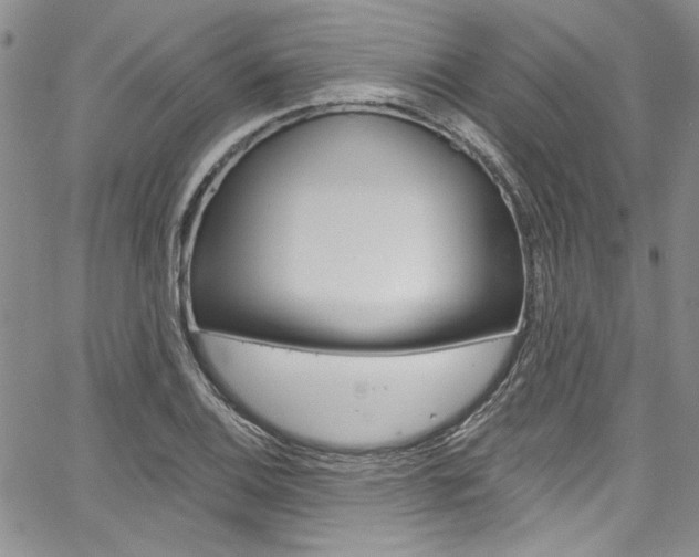 X0000067901124200604131031