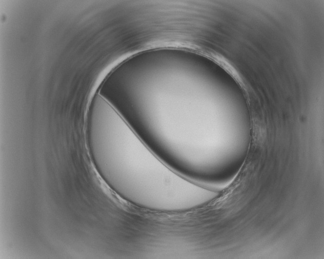 X0000067901148200604131032