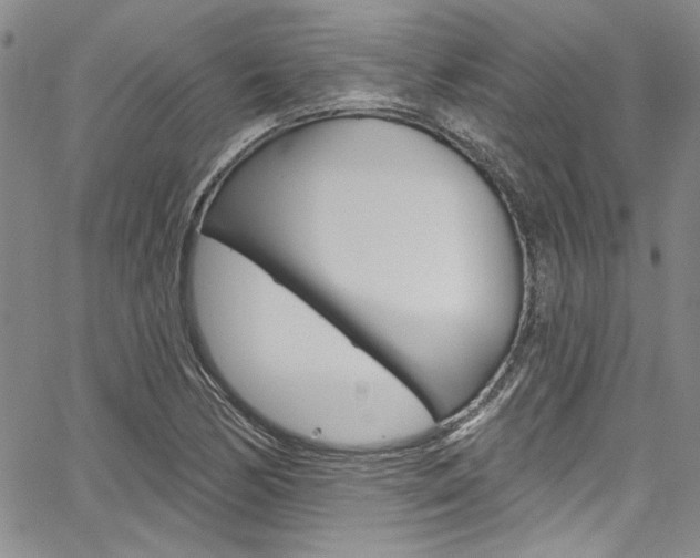 X0000067901170200604131031
